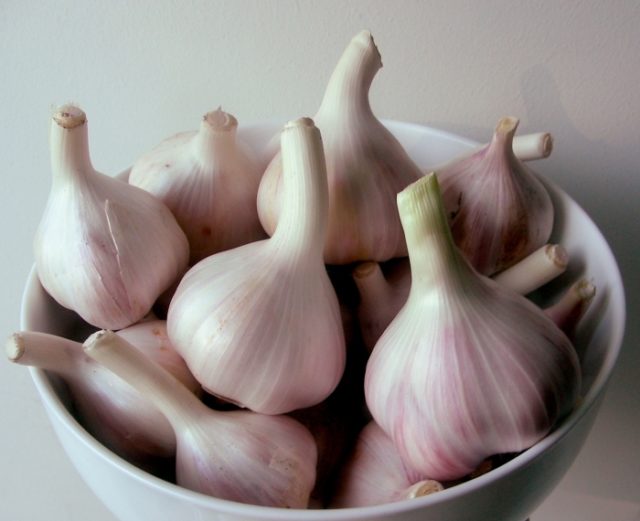 чеснок и зубная боль