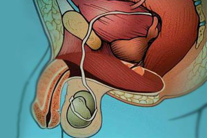 импотенция признаки