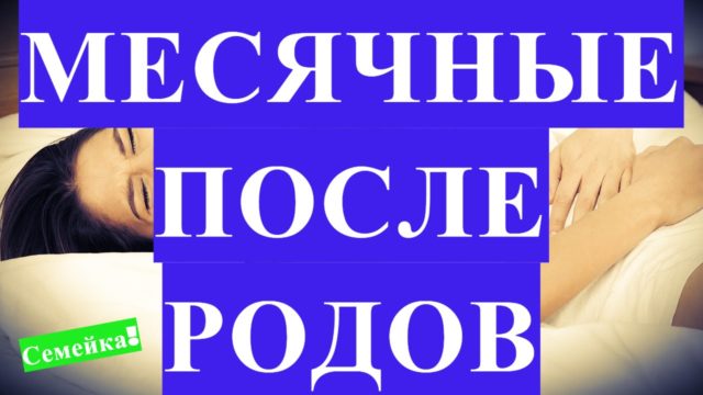 первые месячные после родов
