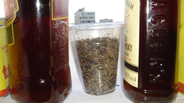 пчелинный подмор рецепты