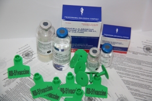 признаки бруцеллеза у человека