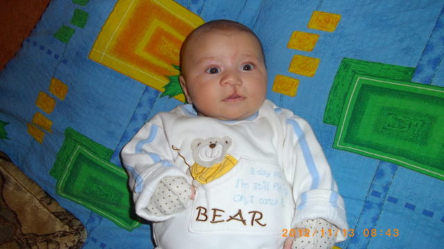 zajach'ja-guba-i volch'ja-past'