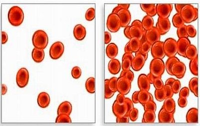 цветной показатель крови