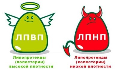 ЛПВП
