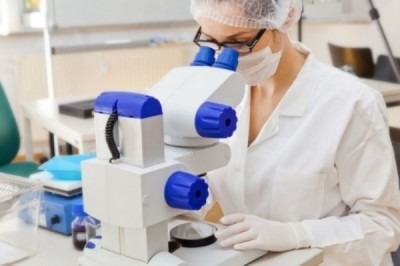 гранулоциты понижены