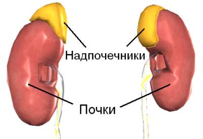 Болезнь надпочечников