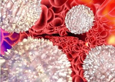 низкие лейкоциты у девушек