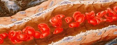 Альфа-талассемия