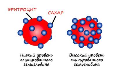 гликированный гемоглобин