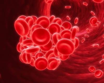 густая кровь