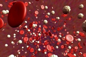 тромбоциты повышены